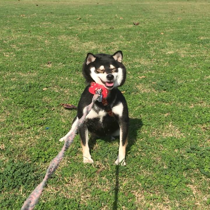 Aeb8a2a3 6274 4e78 a2e7 de4aa0c7b231 1516690219050