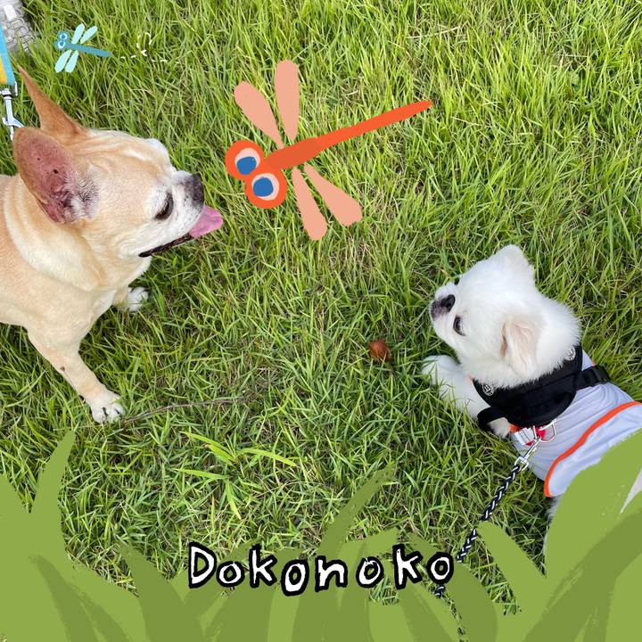 Aeb8a390 5730 4c2b 93bc a369bf8143f5 1727301810937