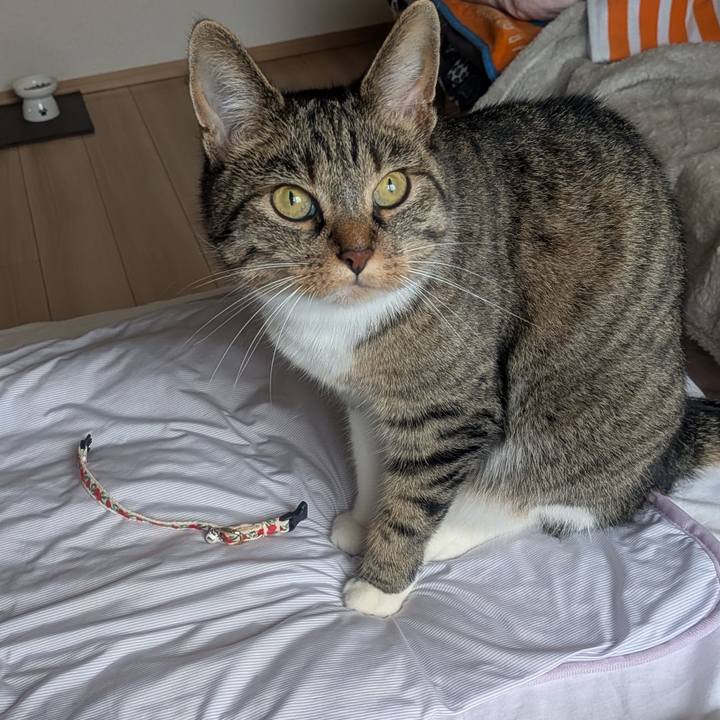 Aeb8a975 cb8f 47e6 8d0f 9217d5342187 1754777544590