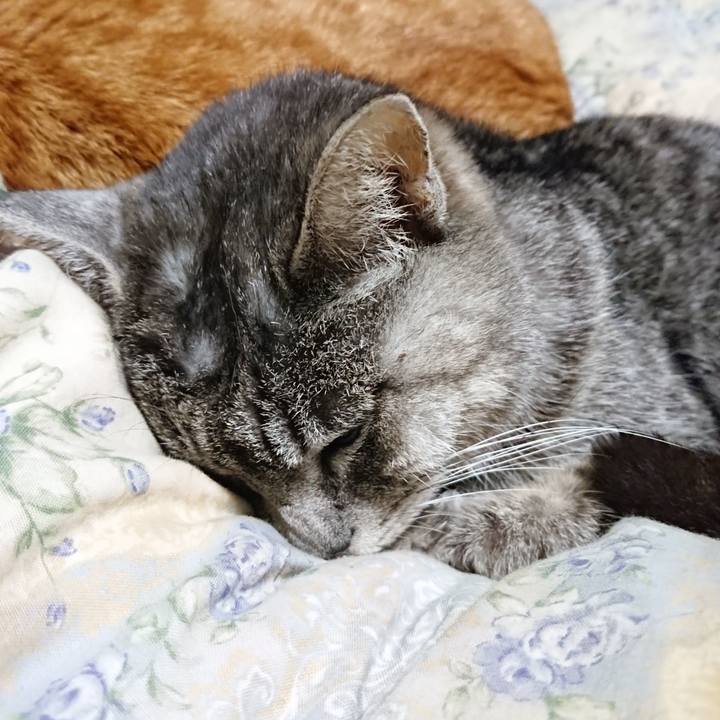 Aeb92c2d ccb6 4cfb 99e4 01926457a978 1581768088749