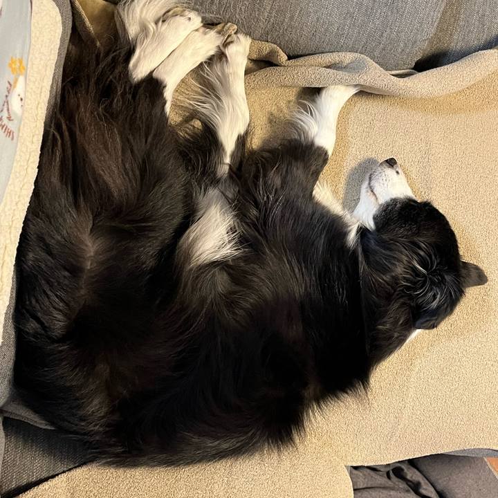 Aeb93e1b cb73 48ea 8ddf c3e75d01ba9c 1772922914846