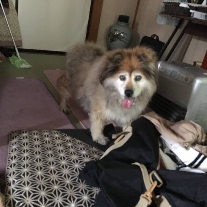 Aeb948da ad59 40e2 8d72 2506698219c2 1566927440765