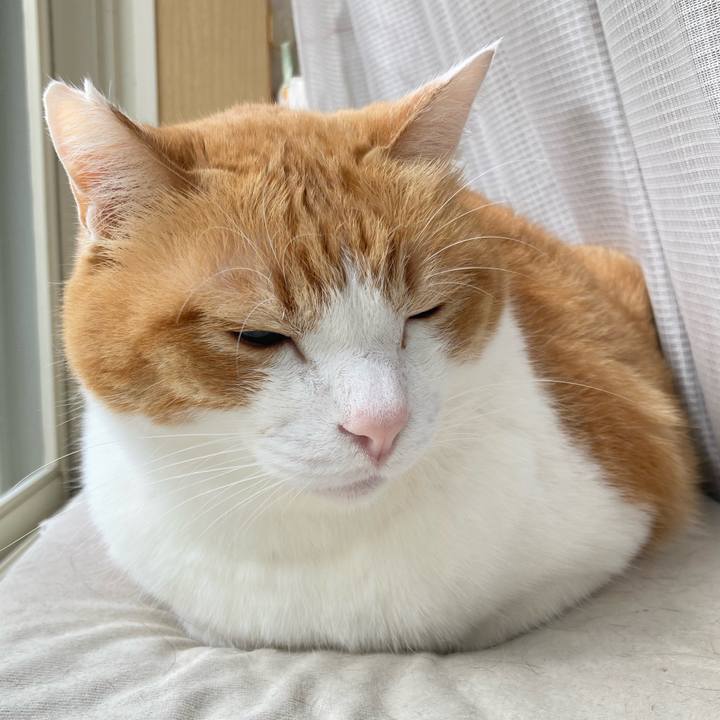 Aeb95acc d341 4758 b5c0 4307e17d47db 1767006086763