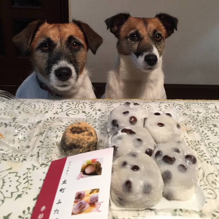 Aeb9847e 99af 4b5b b1aa 3fc74273aa8c 1563622707181