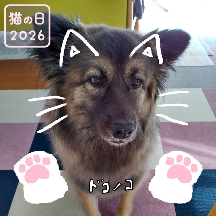 Aeb98583 53c1 4580 a4b0 27ee3691c0d0 1771725078152