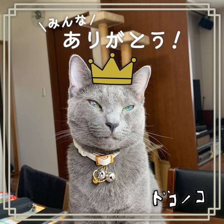 Aeba26aa 6c03 4c17 a522 e72f127eece8 1622856911740