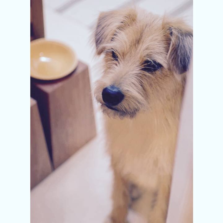 Aeba275a f120 45b9 8ac9 7f30756fec3d 1555588955236