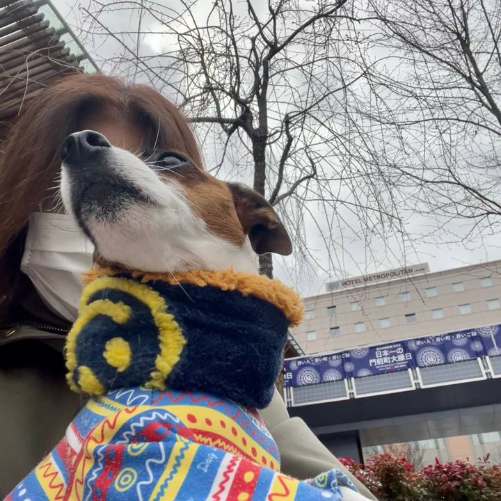 Aeba3841 078f 4bb8 8839 a629befcf20a 1647747691308