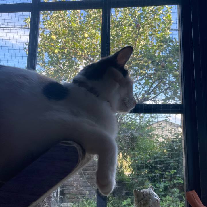 Aeba6e8f e1de 44c9 acc0 175585380c67 1694672164860