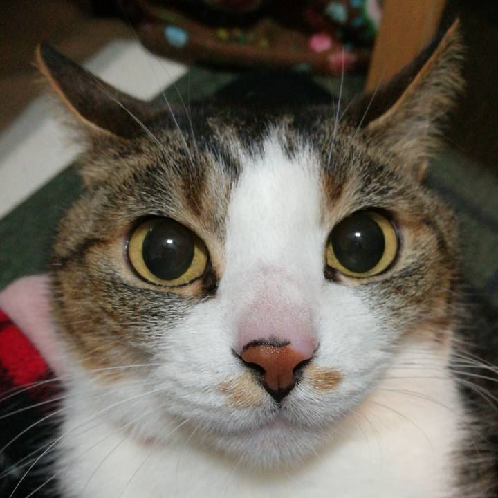 Aeba7582 bf5f 40fd bccb b1bc37648da0 1551951605394