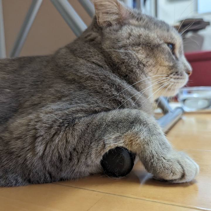 Aeba7ba2 dc93 4020 a909 b8769058c15a 1695269150732