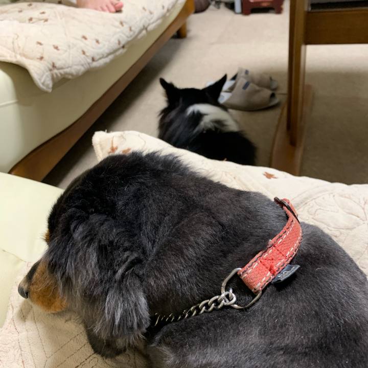 Aeba8751 2351 4b4b 8053 96df66bcb952 1571263806132