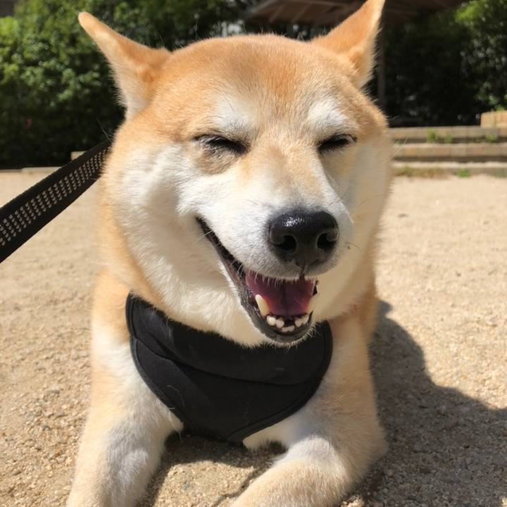 Aebad960 3aad 4886 8cf1 b01e5df80e80 1558601819370