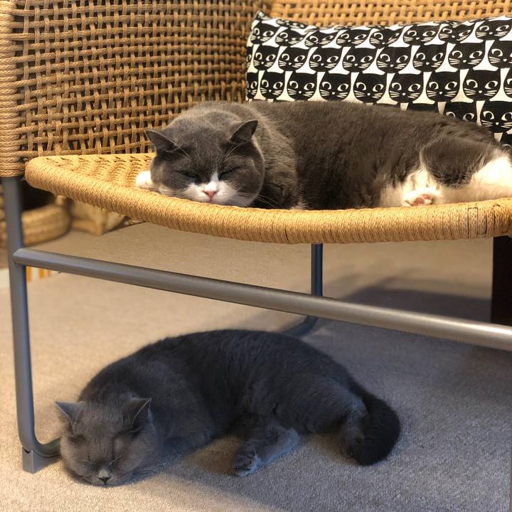 Aebaeb8b fa85 4b64 86a1 d8c096816e9f 1598760029294