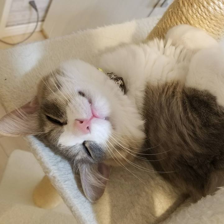 Aebb4519 a1fc 459f 8ed5 30b0a69ef2ae 1523447755863