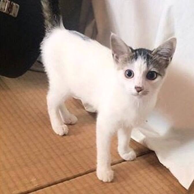 Aebb46c8 61de 435f 8af6 3ed168880e26 1534392509572