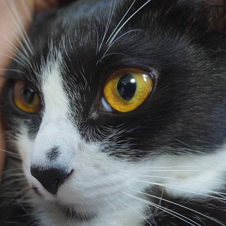 Aebb6f26 7eb2 47c0 8ac0 5e33c35be891 1601128300530