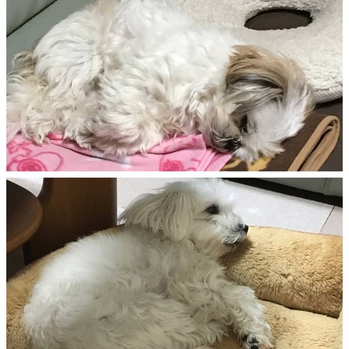 Aebb6f34 7e6a 43f2 bd8d 0f98bf0de0e8 1585138445938