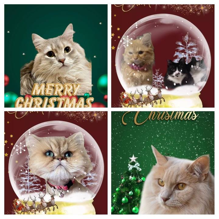 Aebb9bb0 9129 49c1 9fcd de7ed60613cd 1640307712486