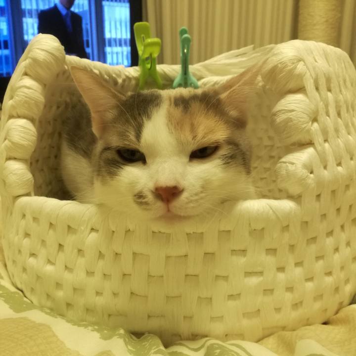 Aebbd578 6edc 4f8d a173 7b3034c874d3 1524959158435