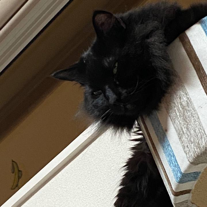 Aebbf9a7 965f 4439 a9a9 d4806182de23 1582198726113