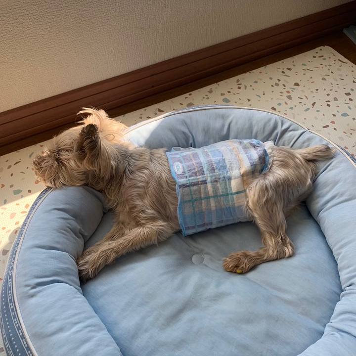 Aebc0152 ba6e 44fe 9ffa 192c54bafc82 1683973545150