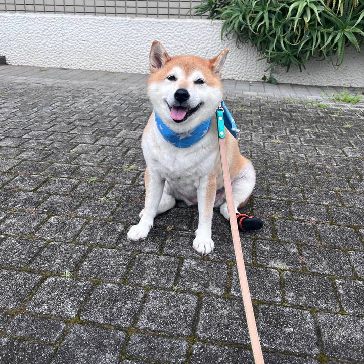 Aebc1d4c fce7 4248 be92 8f0753c12ec0 1720652908569