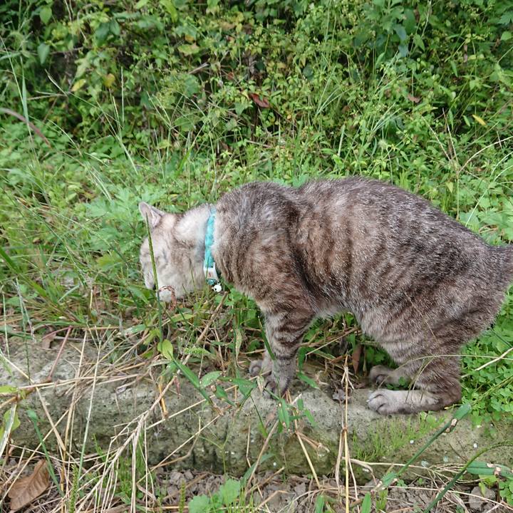 Aebc6711 d554 4ab6 a22c f6562e2d6a31 1569220874284