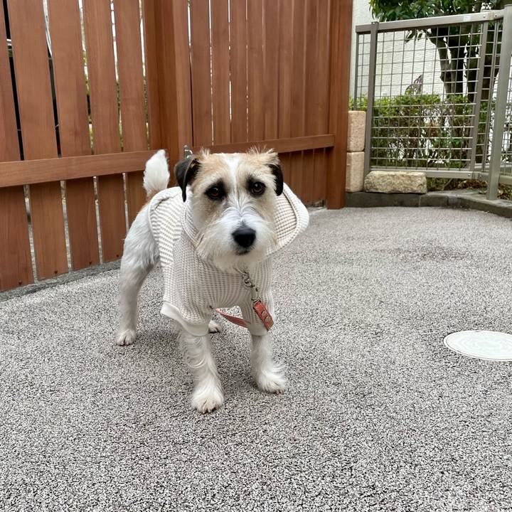 Aebcb1ce ab66 4906 ada1 7d1718859f03 1646123967429