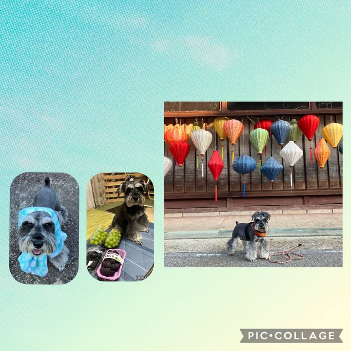 Aebcd278 865a 4b93 8d0e e86930e078f1 1731132361015