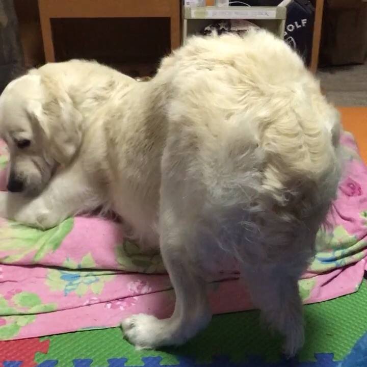 Aebd2e6c 00e7 4f9f 8539 4bc7f43b0d0e 1539851841662