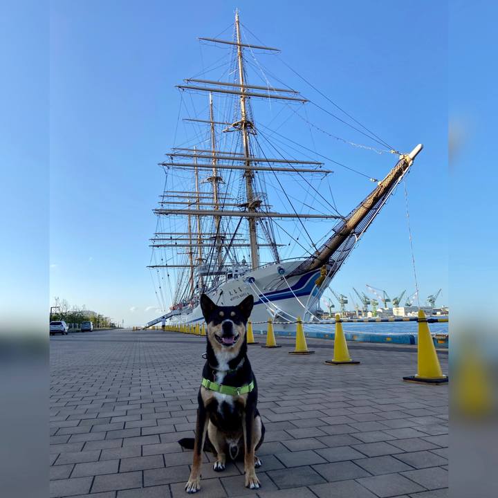 Aebd450a 7ccd 4c16 80a5 ca9e48f7205b 1601250002863