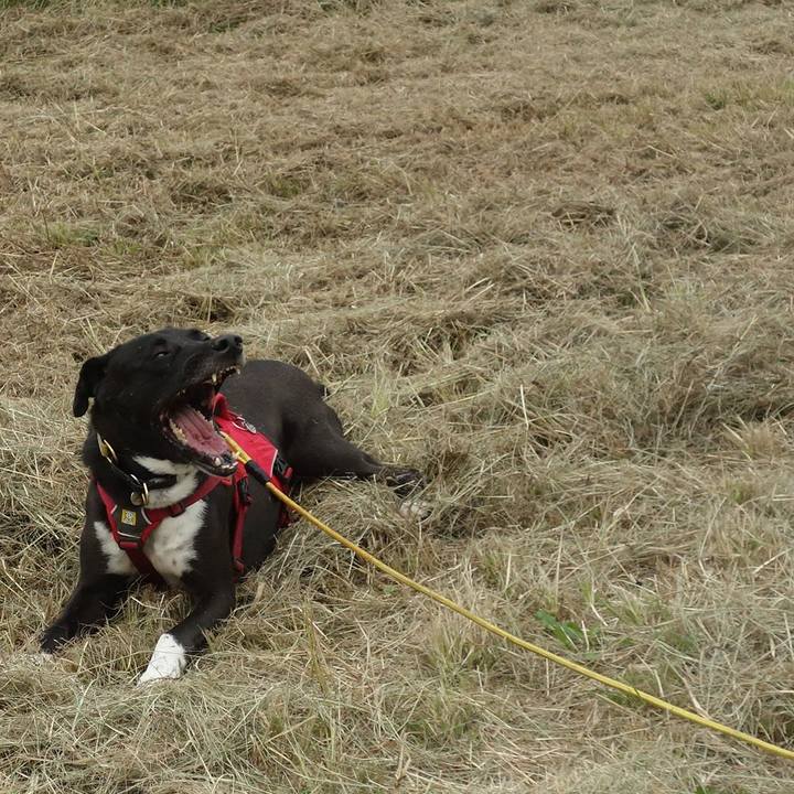 Aebd461d 06a5 46be b1aa 516d910f9281 1602633646511