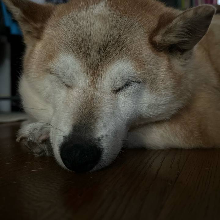 Aebd77c2 1fbe 4040 a325 147eb6a556d3 1754556240884