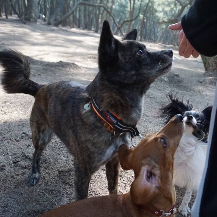 Aebd85a6 8b61 4e67 9842 d778d1a3688a 1551538380329