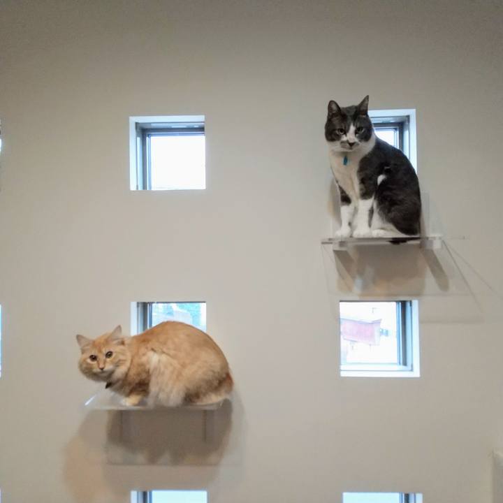 Aebdb21f e91d 466d ad3a 509df5a2eb9e 1635664299307