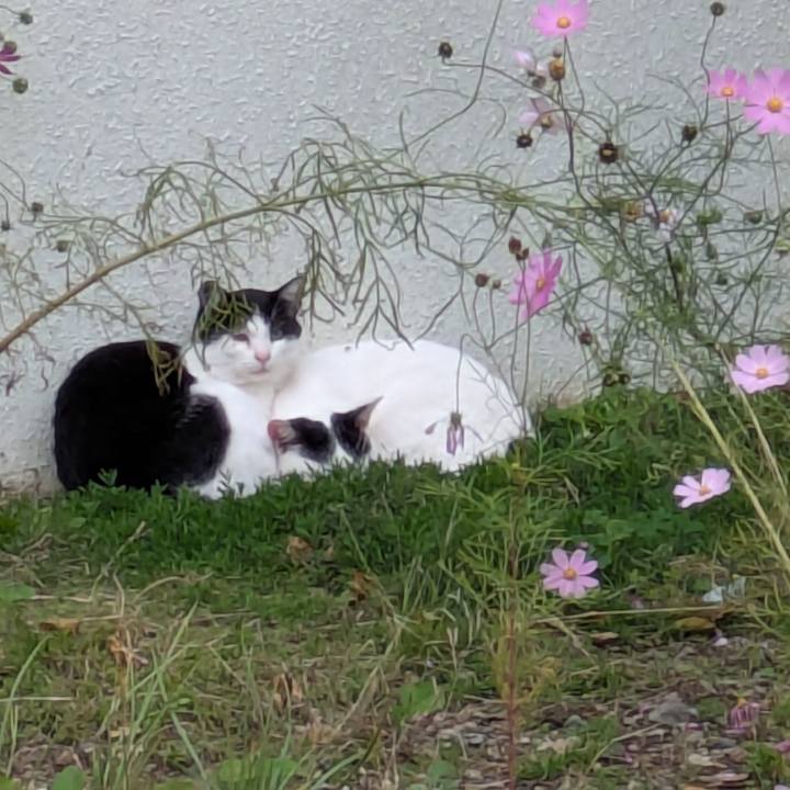 Aebe16b8 630e 4088 9e61 4c24a6afcb62 1759153312380