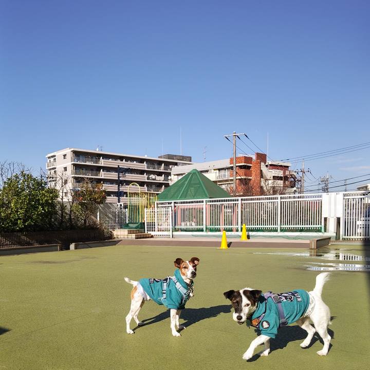 Aebe6383 d2f0 403f 9878 75c5703573d1 1733314861212