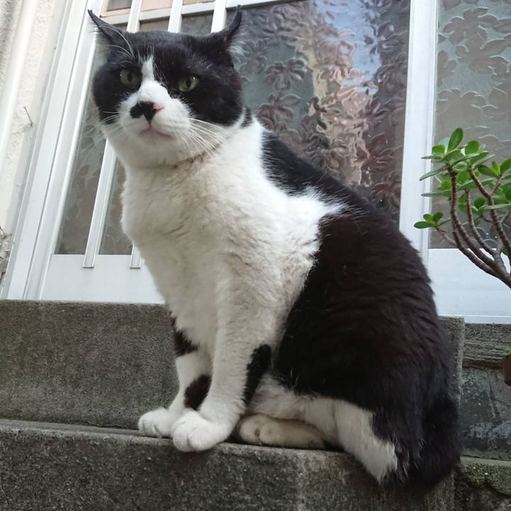 Aebe9734 38f9 40c5 8054 7c627ad32129 1527931539838