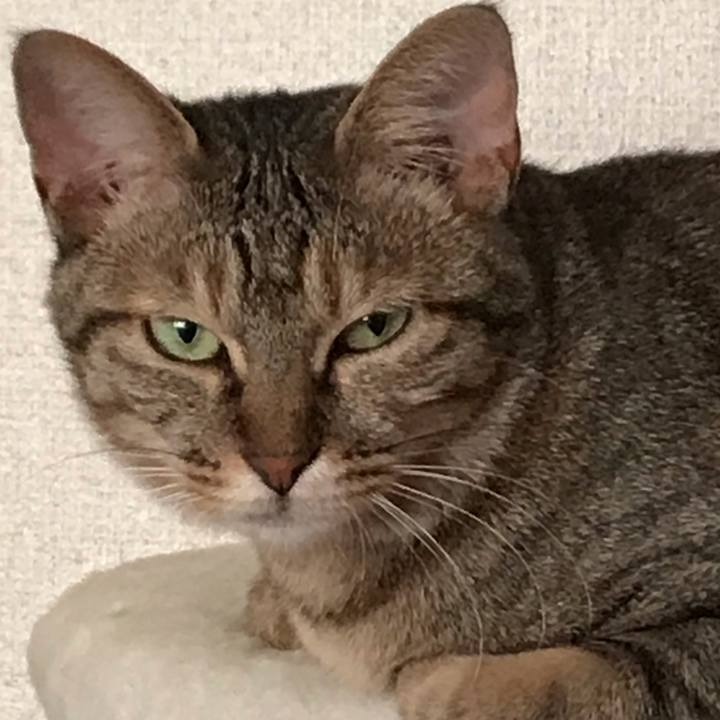 Aebee51a d68f 4681 bd46 f0c55dc6e58d 1593208302352