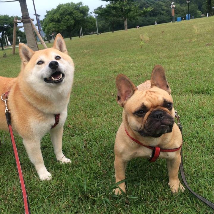 Aebeec87 c883 49d2 97ec f7e36dacb415 1667578565130