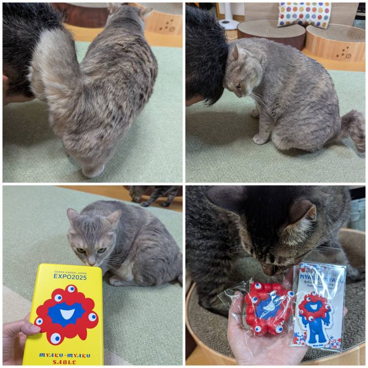 Aebf185e 5d13 4a01 baa4 6922aee87166 1758853747313