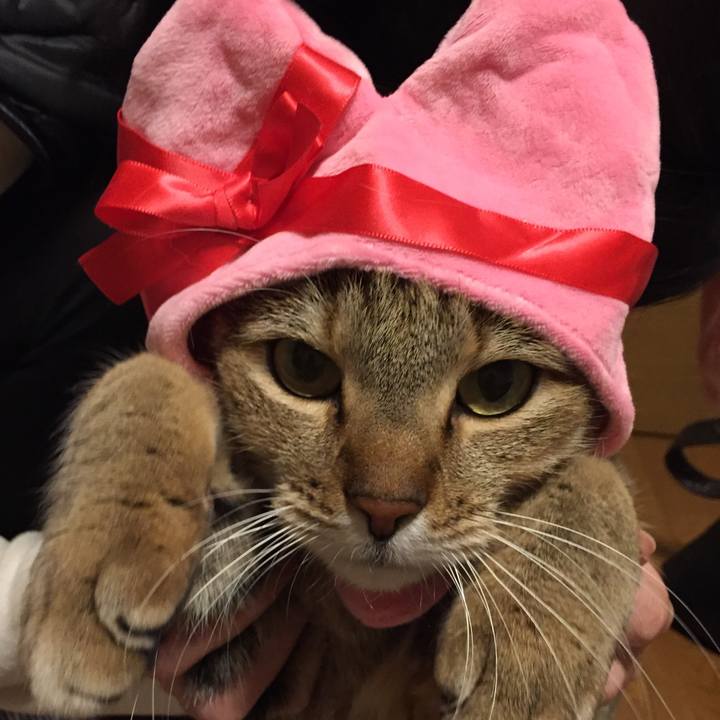 Aebf39d6 cd7f 42c9 ba2c d3e773d7a2f1 1515932577420