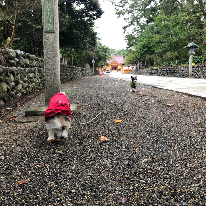 Aebf4594 6976 42d5 a693 389114fa1423 1570490472559