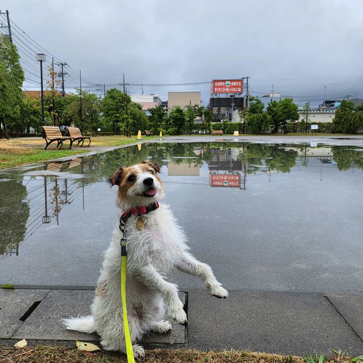 Aebf77b7 7360 4ff0 bb8f 40e7536198bd 1657668517384