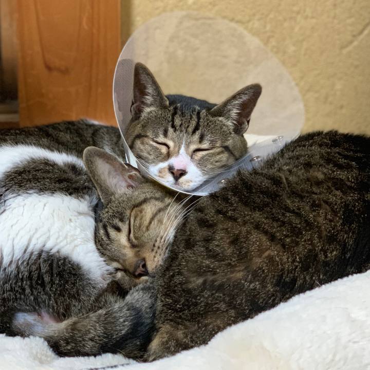 Aebf7c17 7cef 4a76 9b2a d21bd72b324f 1554771107696