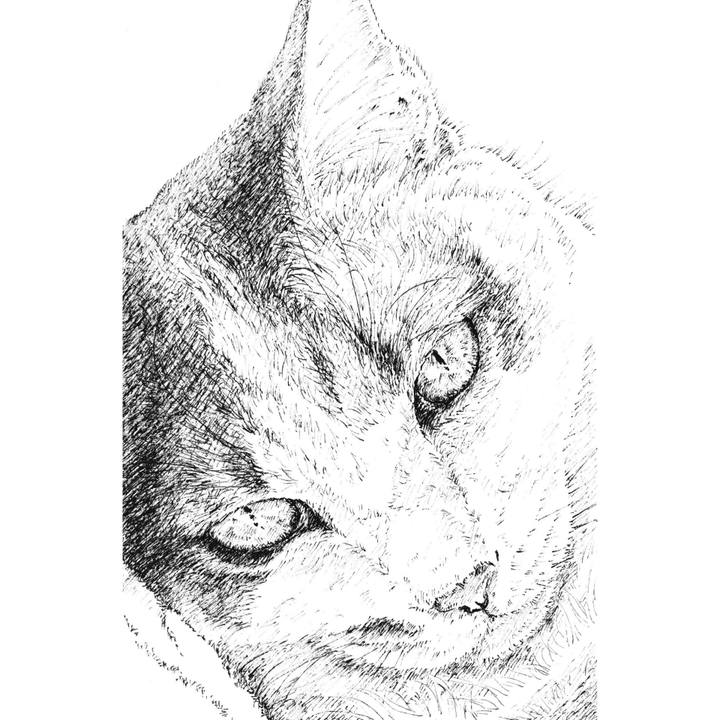 Aebf9831 e7d7 4abd 90e9 d4417ced3ef3 1623633855717