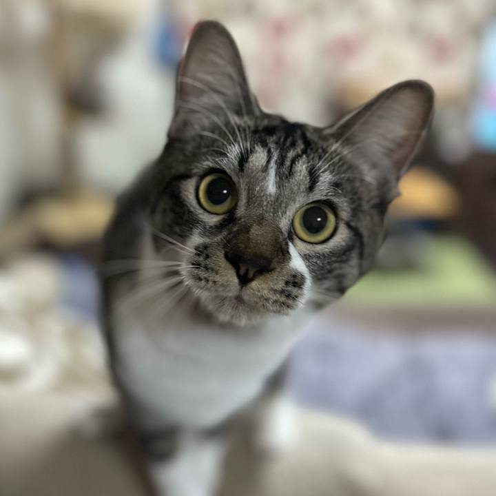 Aebf9ece 58d4 4bbb 9431 fb5fa4e061cd 1668517381706