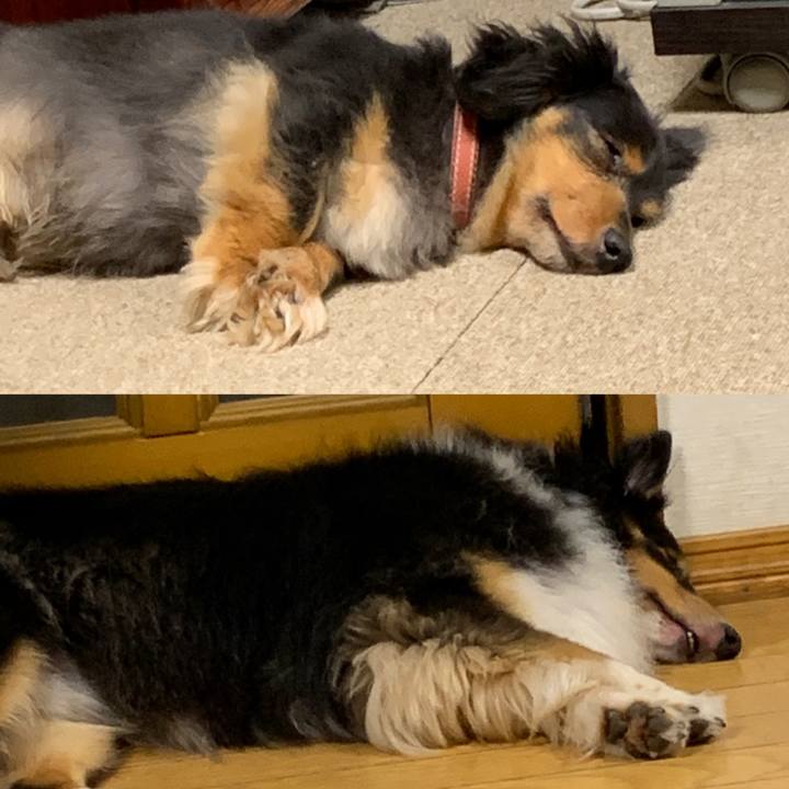 Aebf9f9e 4e1b 45e3 8e5a 4a327a909f51 1598707883247