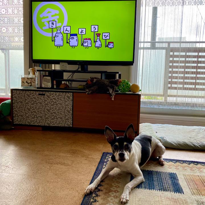 Aebfa9e2 ee7c 4661 932a 86ac51cb87bb 1599776181601